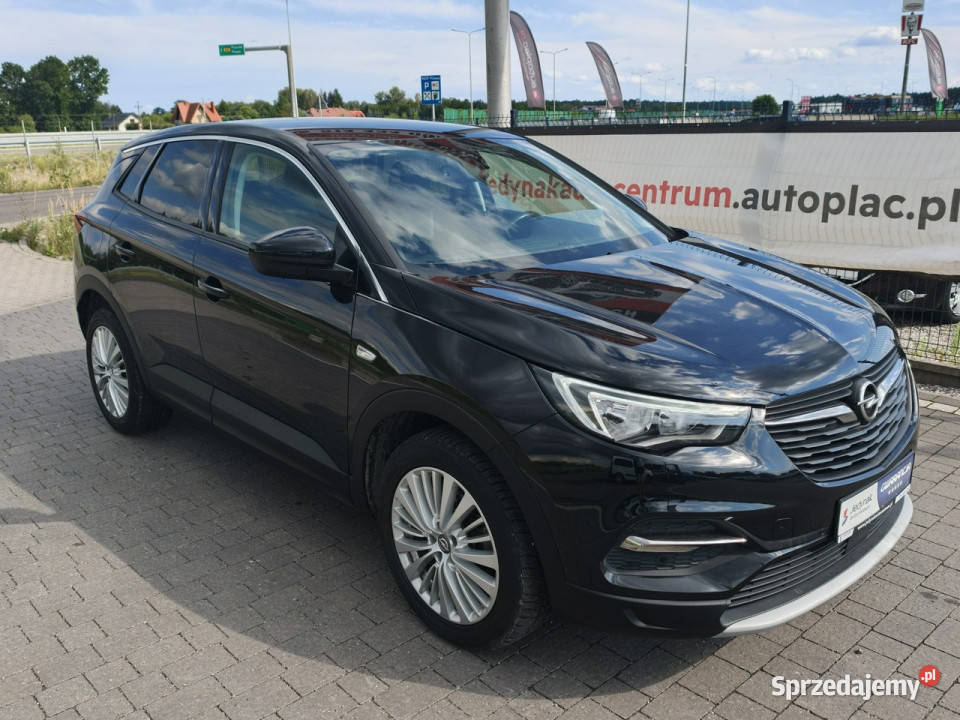 Opel Grandland X Lipówki