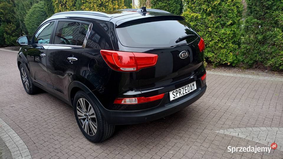Bezwypadkowe Serwisowane stan techniczny ASR (kontrola trakcji) Sportage sprzedam