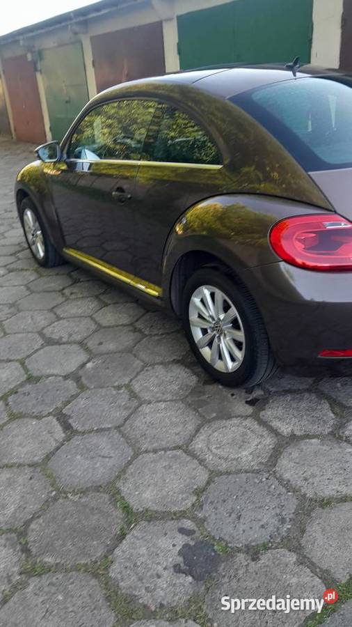Volkswagen Beetle 12 105KM Beetle śląskie Chorzów