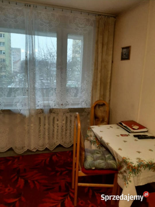 PŁOCK 3 pokoje 548 m 1 piętro BEZ POŚREDNIKÓW 55m2 Płock sprzedam