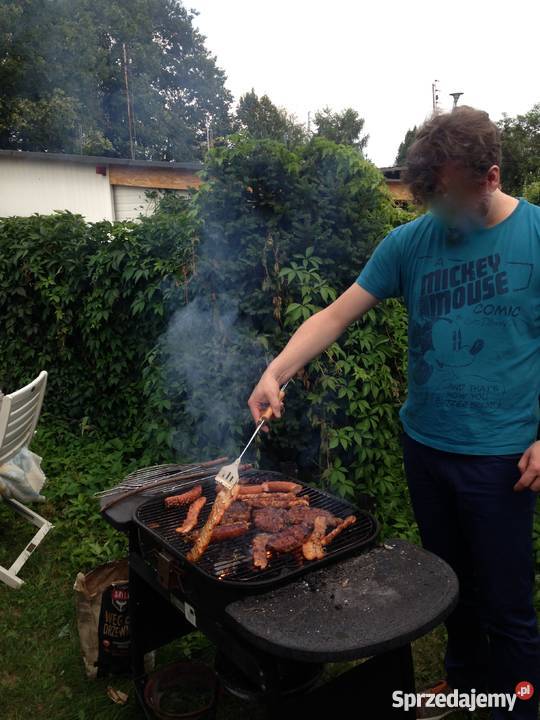 Działka rekreacyjna Pławniowice sprzedam