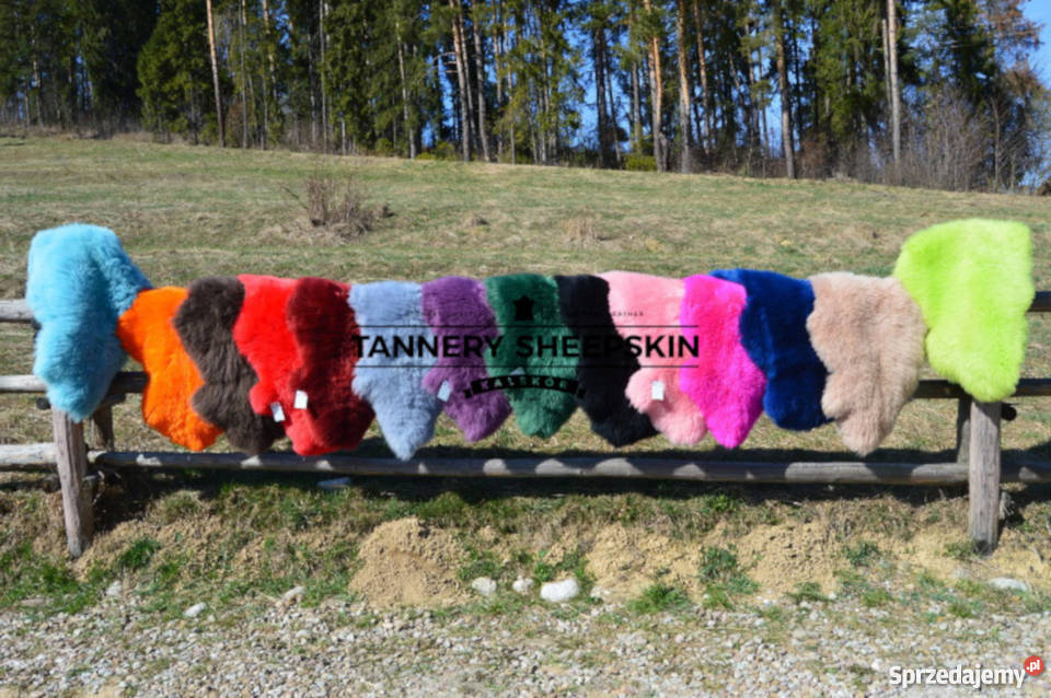 Skóra Owcza 14 KOLORÓW Skóry Owcze Dekoracyjne Szaflary