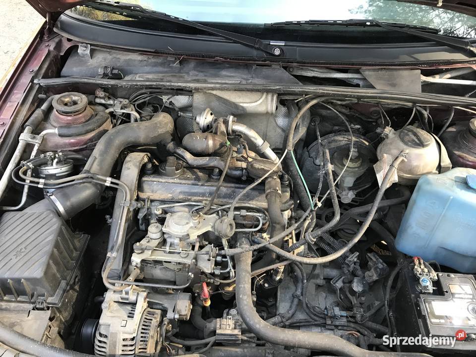 VW Passat B4 19 TD 96 r Trzciany