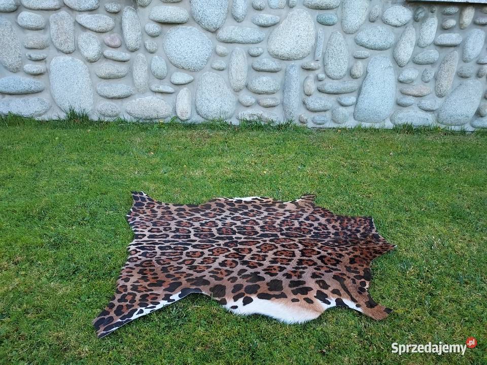 Skóra z Lamparta Dywan Zwierzęcy Naturalna Skóra Dywany Szaflary