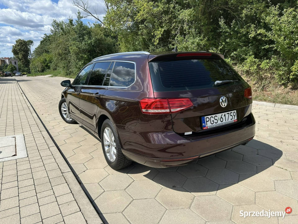Volkswagen Passat Volkswagen Passat B8 16TDI Gostyń