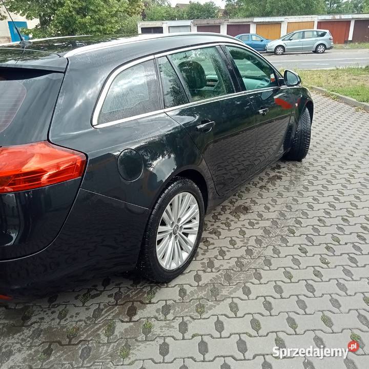 Opel Insignia nieuszkodzony