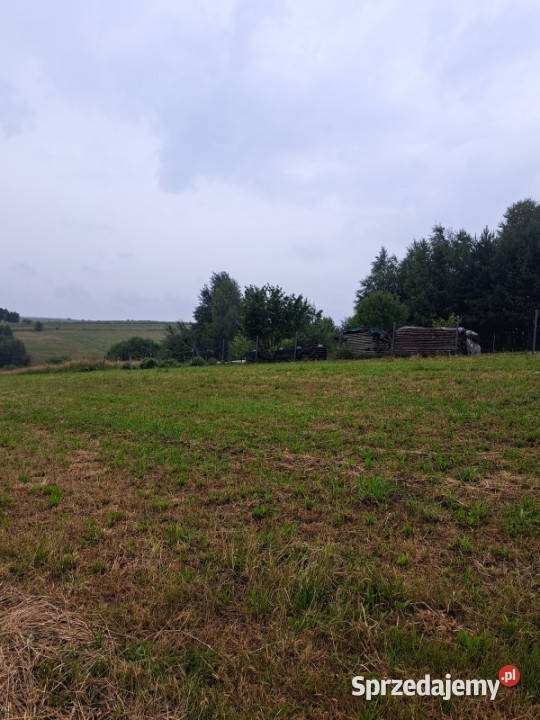 Działka Jerzmanowice Przeginia bezpośrednio 7550m2 małopolskie