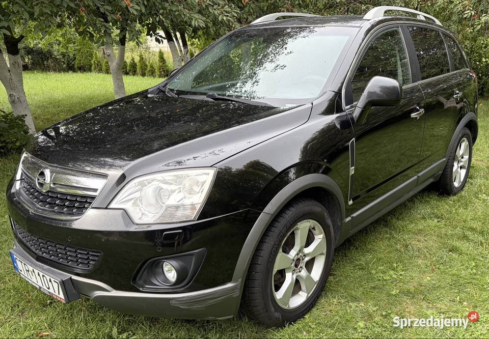 Opel Antara 20 CDTI 4x4 cosmo Świecie