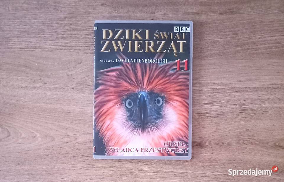 Edukacja Lew Orka i inne seria BBC Dziki świat Kraków sprzedam