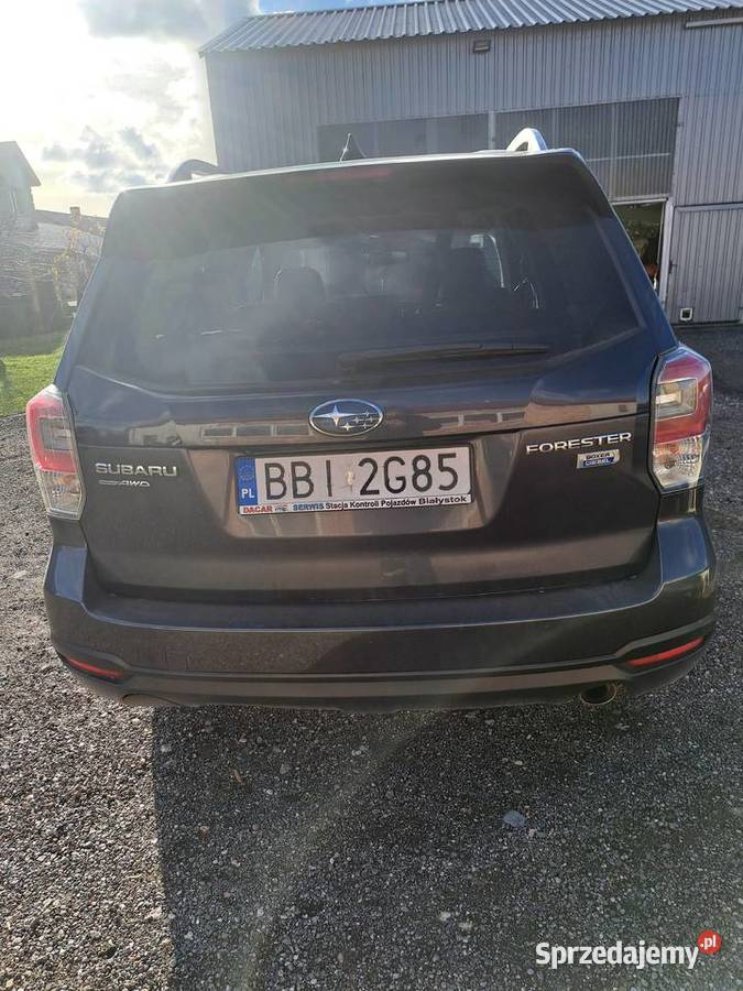 Subaru Forester SUV Forester Olszewek