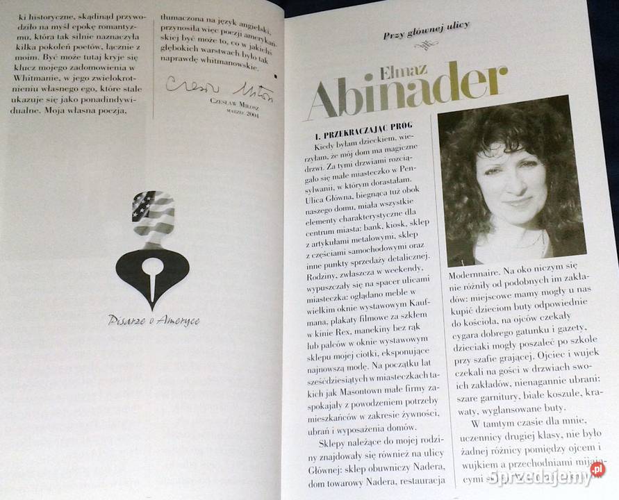 Pisarze o Ameryce 15 głosów ze słowem wstępnym Chełm sprzedam