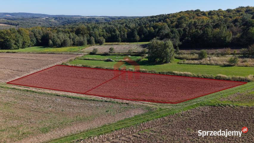 sprzedaży działki Wielopole Skrzyńskie 1000m2 Nieruchomości