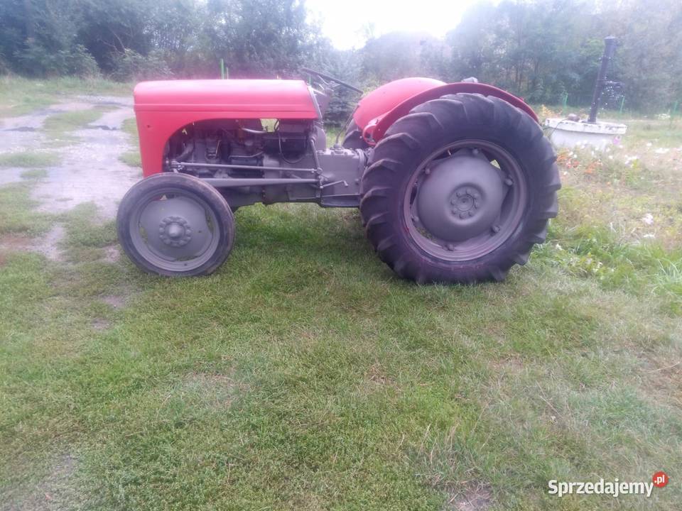 Sprzedam zamienię Fergusona TEA 20 na wózek Gniezno sprzedam