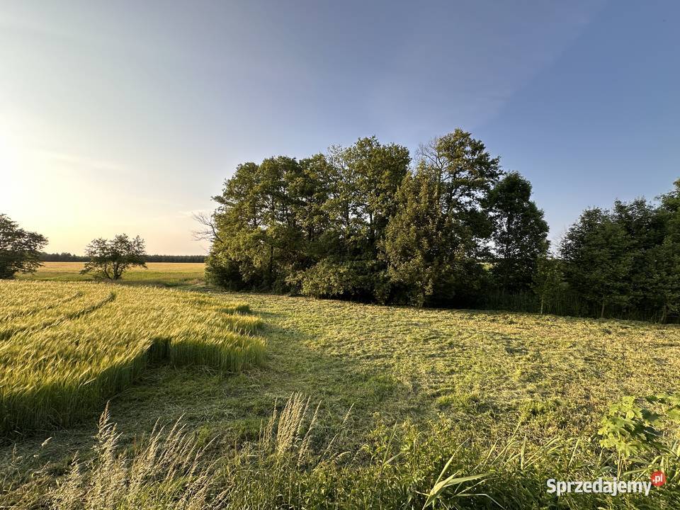 Działka z linią brzegową Pomianowo