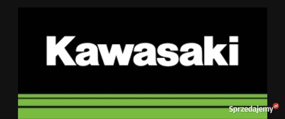 OPARACIE Pasażera FIXED KAWASAKI VULCAN S Poznań sprzedam