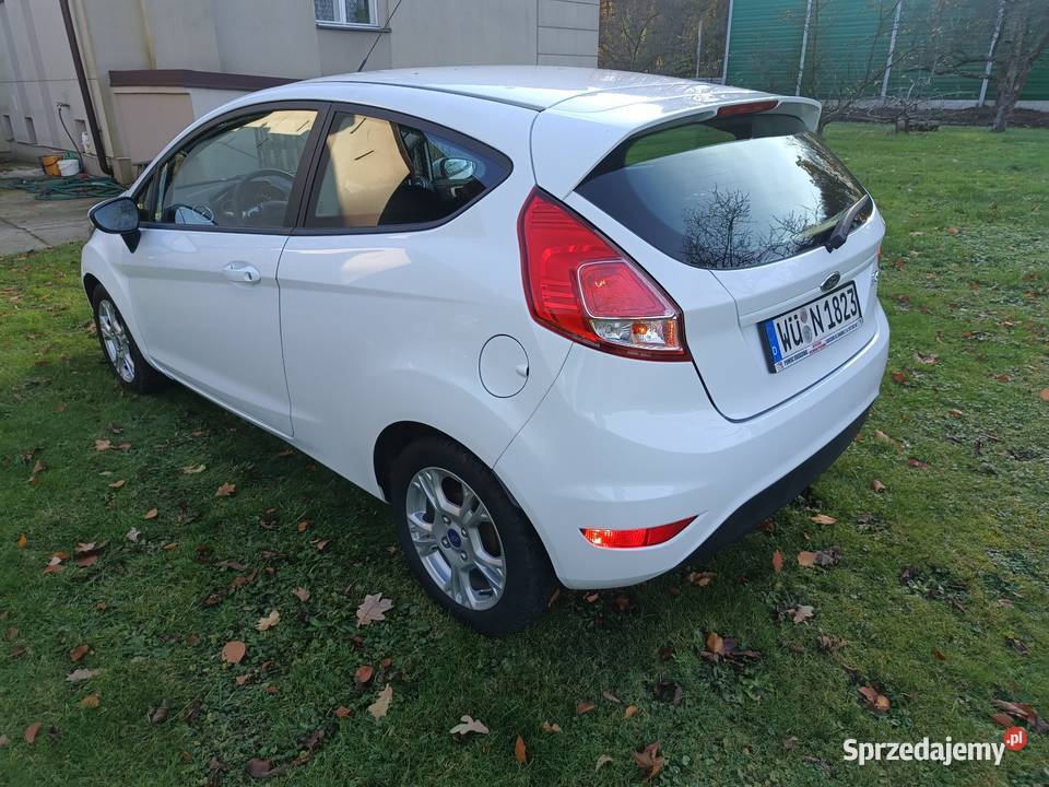 Ford Fiesta Mały przebieg Skoczów