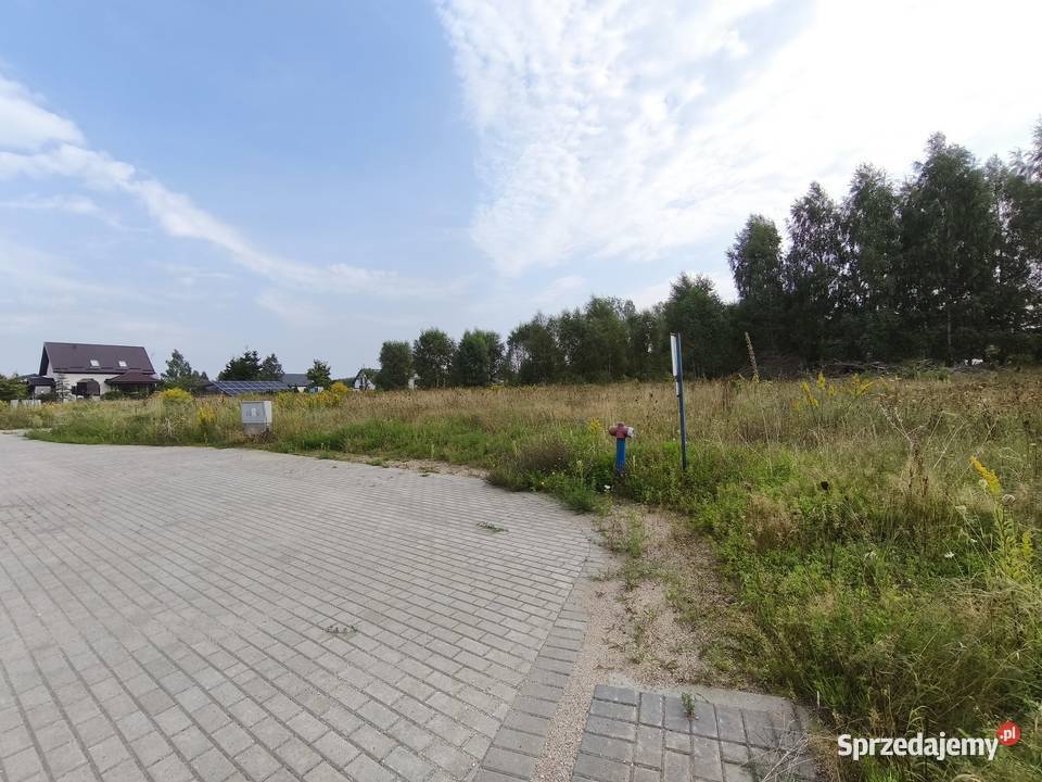 Zamieszkaj Radosnej Sprzedaż Linia sprzedam