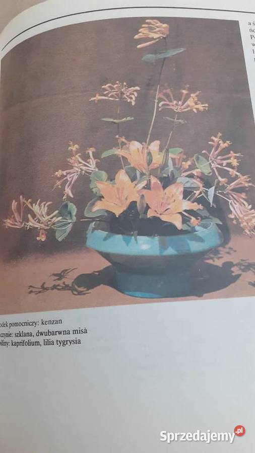 Układanki roślinne