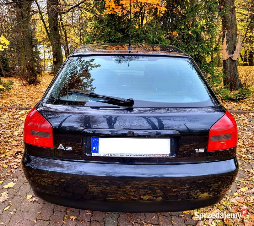 Audi A3 16 Instalacja Gazowa CLIMATRONIC DŁ Rok produkcji 1999 małopolskie