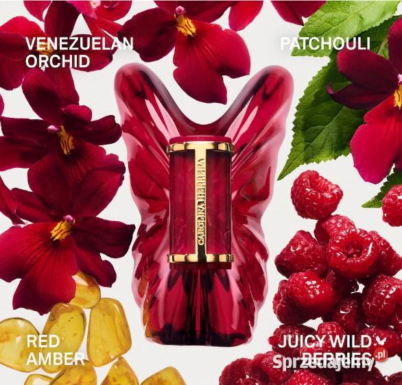 Perfumy damskie La bomba Intensa Carolina