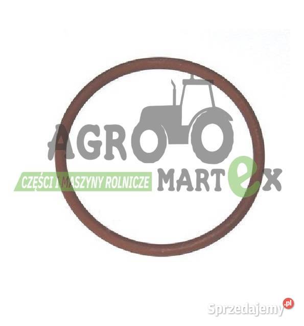 17290081 920007573 85801065 76607983 ORING CNH Wichrów