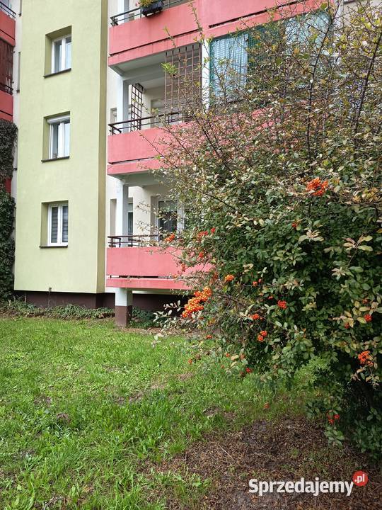 Kawalerka na Ślichowicach z osobną kuchnią Kielce