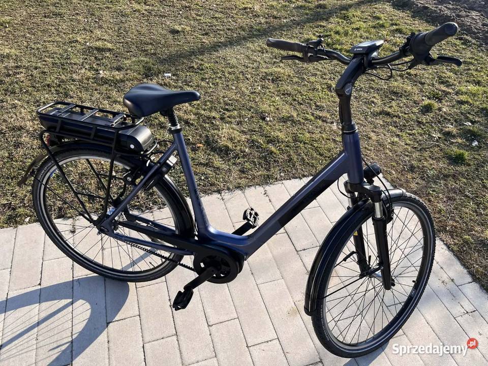Pegasus Siena Błota