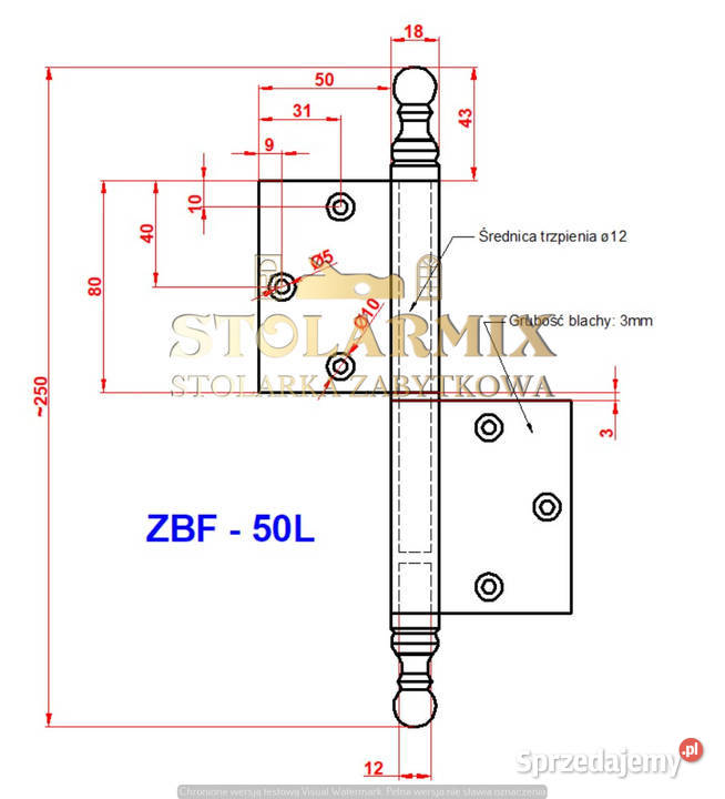 Zawias do starych drzwi bezprzylgowych ZBF 50L Paterek sprzedam