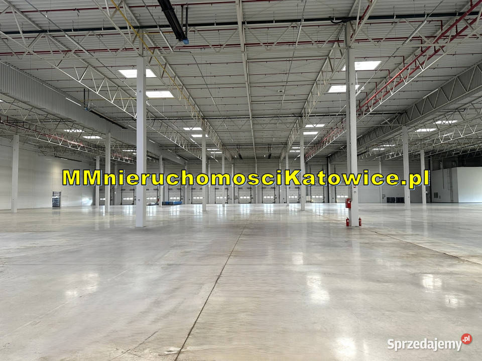 Magazyny 2500 do 23000 m2 Piotrków Trybunalski Wynajem sprzedam