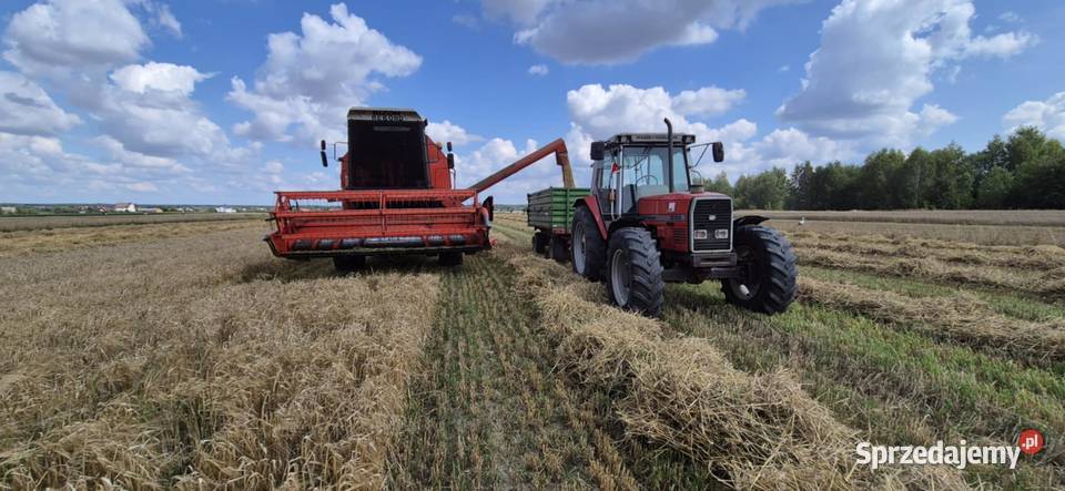 Bizon rekord z058 x2 Rozprza