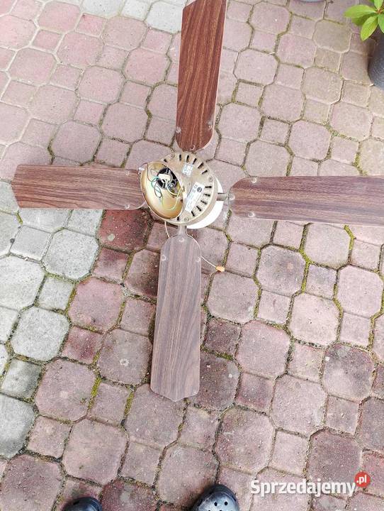 sprzedam lamy Przedmieście Czudeckie