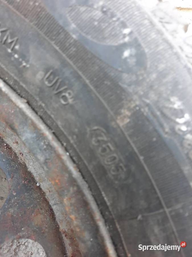 Koła zimowe 15 BMW 5x110 Dębica Frigo Rozmiar 15" mazowieckie Radom