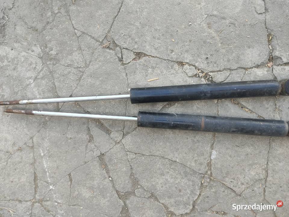 Amortyzatory tył BMW E46 Coupe Hrubieszów