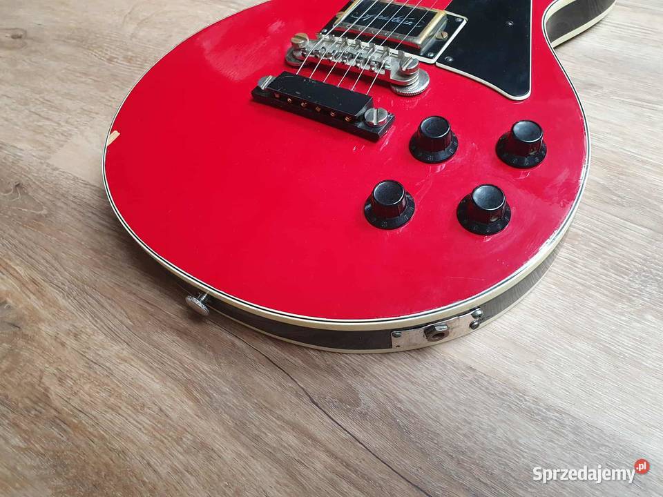 Jolana Diamat futerał Warszawa