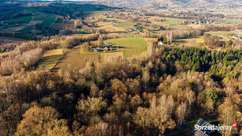 Działka leśna 3025 ar Tuchów