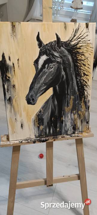 Obraz na płótnie Wałbrzych sprzedam