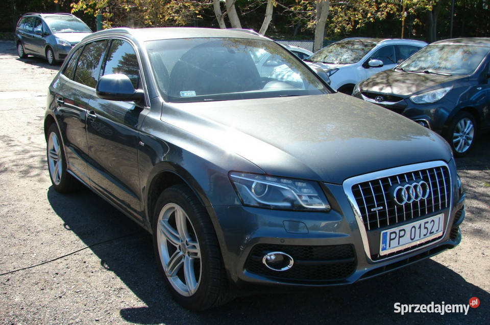 Audi Q5 Jedyny taki stan techn i wygląd 8R 2008 Q5 Piła