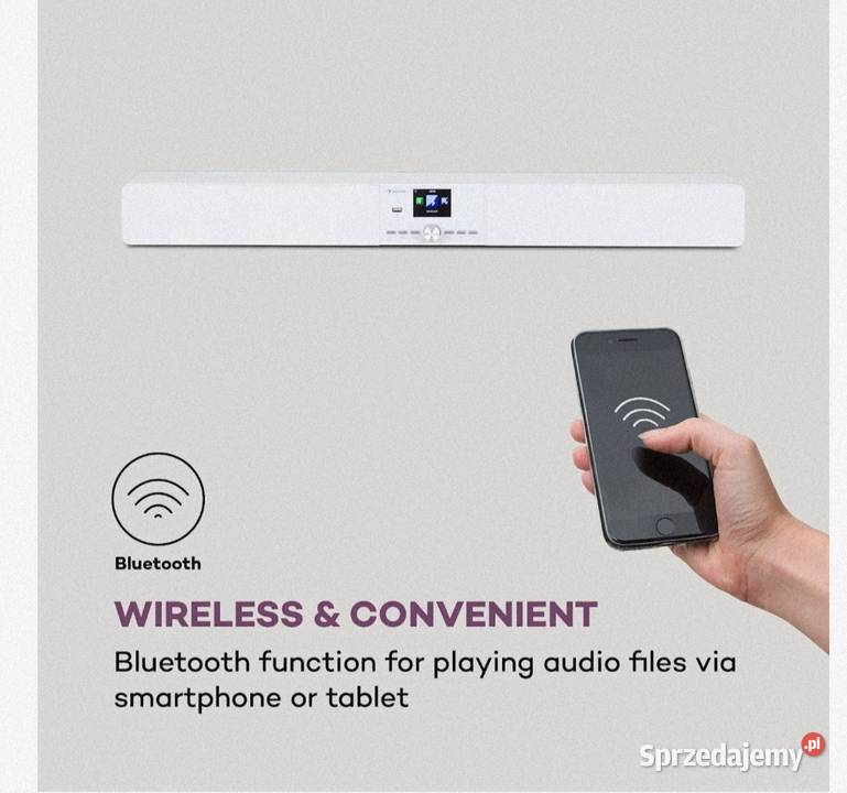 Kolumna kujawsko-pomorskie Osie