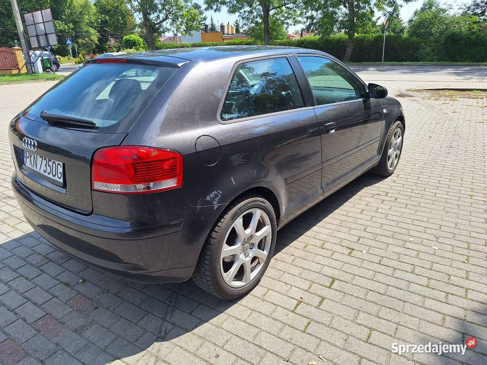 Audi A3 8P 16 8V MPI 102 KLIMA ALU VAT marża Choceń