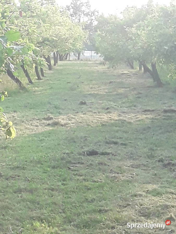 Koszenie wykaszanie usługi ogrodnicze Poznań