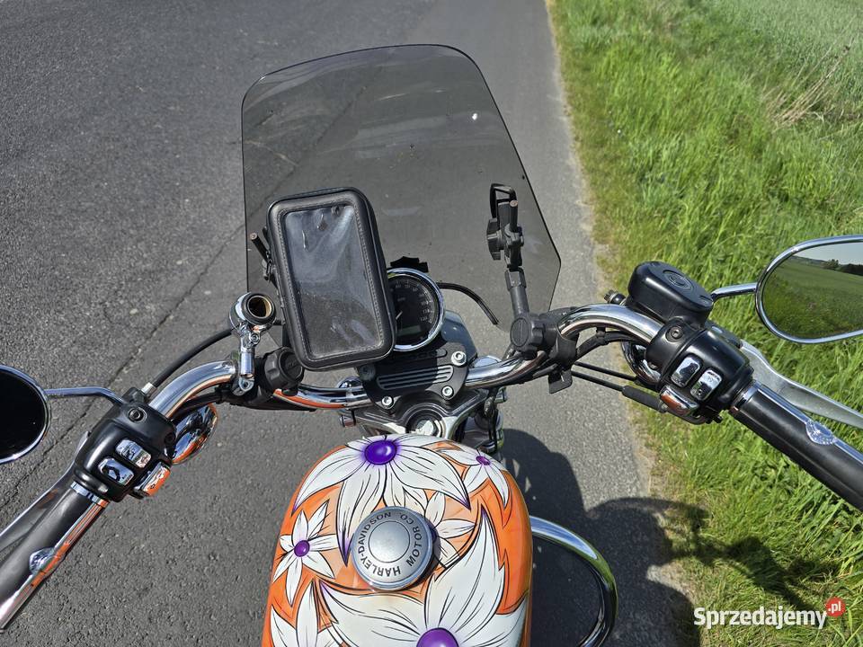 Sprzedam Harley Davidson 883cm3 wielkopolskie Poznań sprzedam