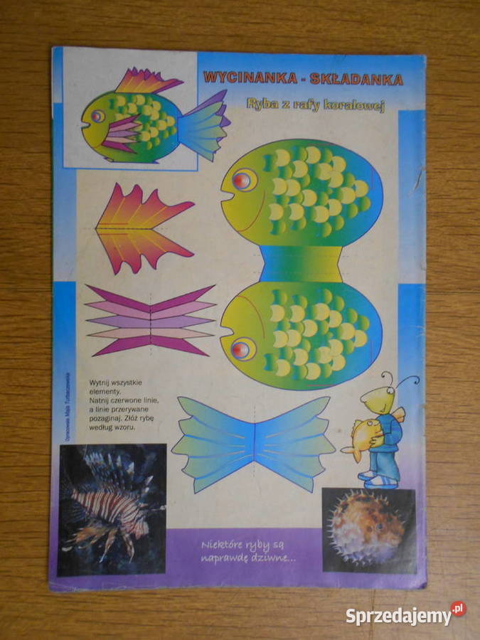 Świerszczyk 1516 2569 2002 miękka Parczew