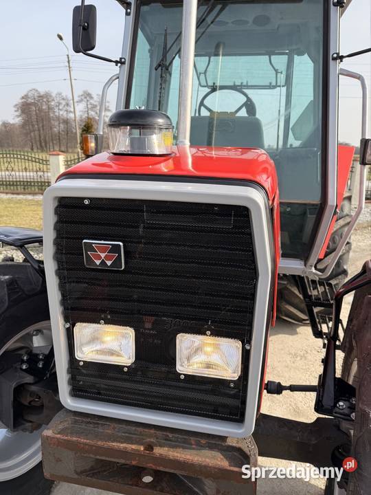 Massey Ferguson 3050 Łowicz