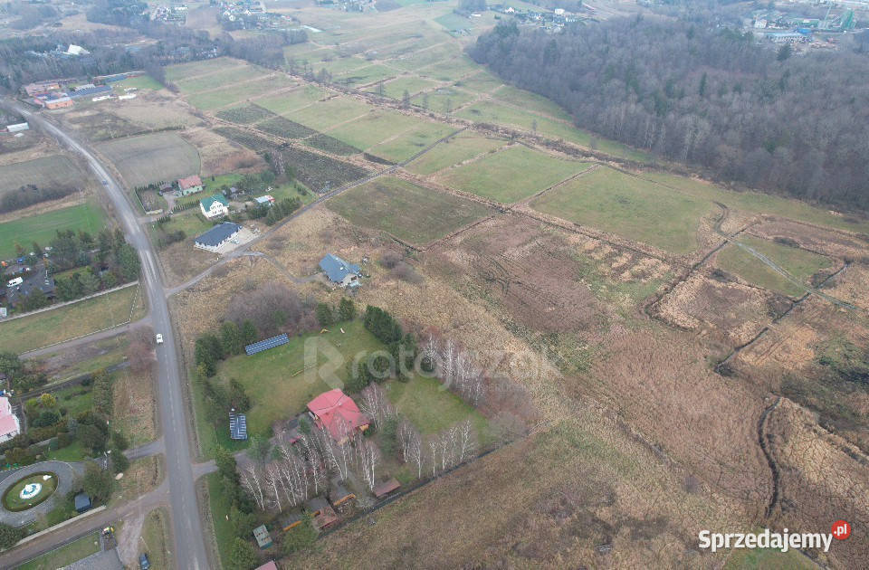 Do sprzedaży grunt Przyjaźń 4007m2