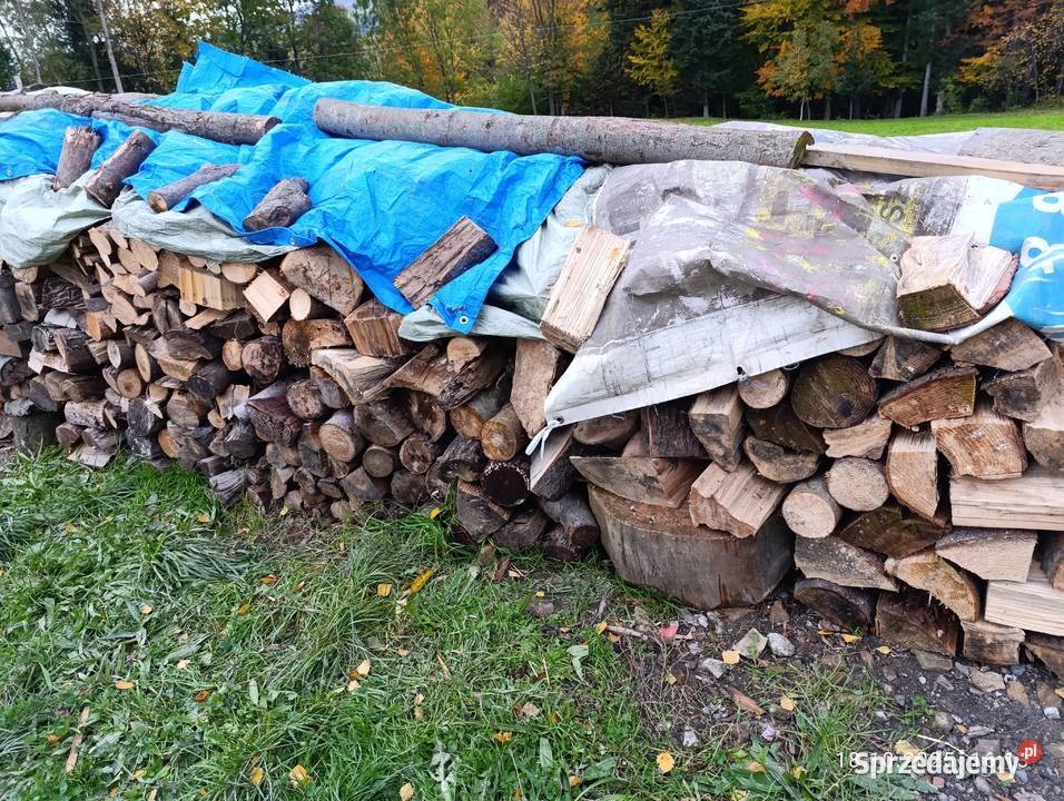 Drzewo mieszane suche małopolskie Ropa