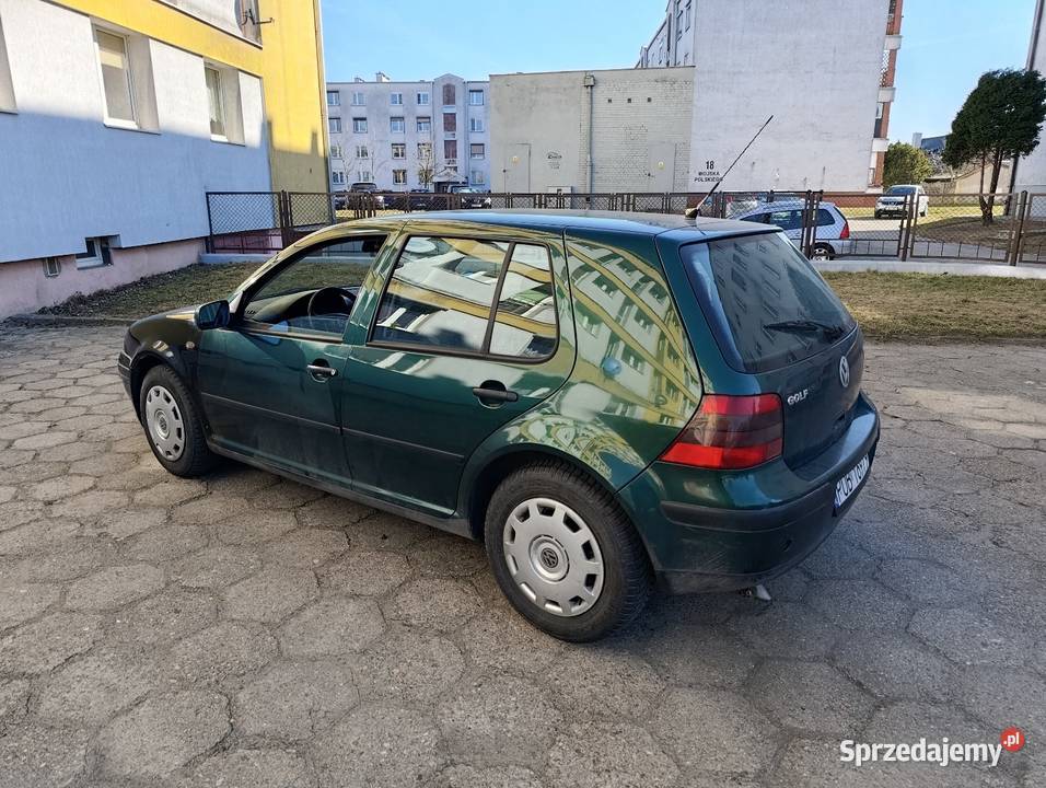 Sprawny Golf 4 Śrem