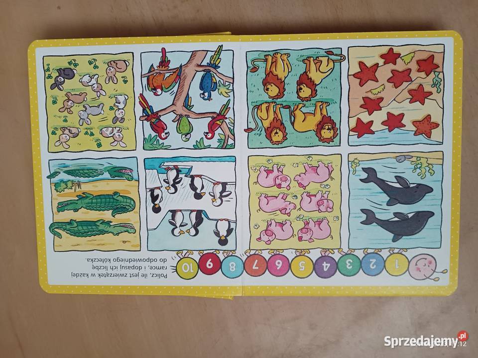 Książeczka dzieci Obrazki maluchów Cyfry Szczecin