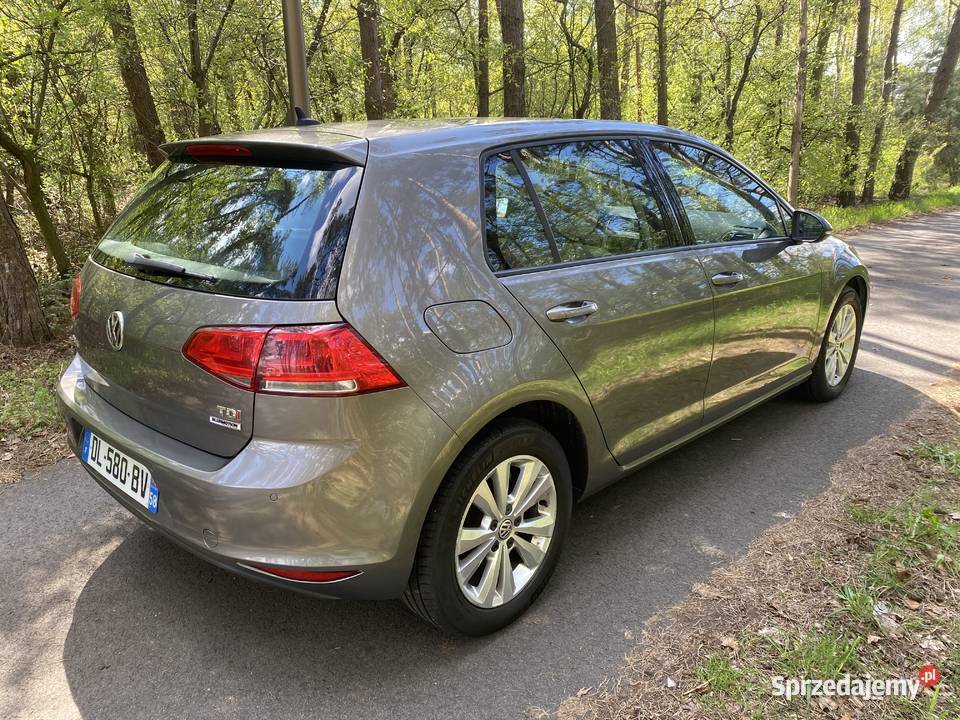 Volkswagen Golf VII 16 TDI 105 Navi Aktywny wielkopolskie Kępno