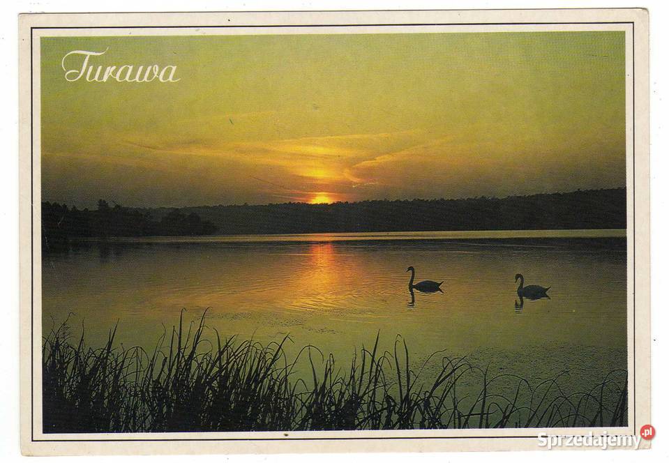 TURAWA 2 POCZTÓWKA Kolekcje świętokrzyskie