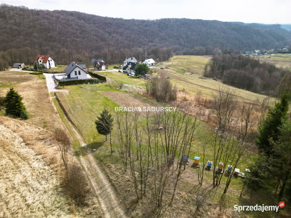 Działka Jerzmanowice Kalwaryjska 2900m2 250zł/m2